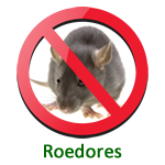 Dedetização de Ratos em Porto Alegre